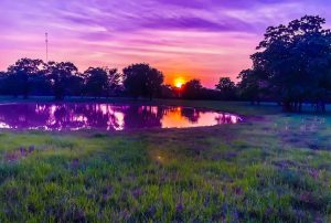 Vibrant sunset over pond and grassy field.